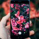 Illustration for article titled This New App Is Like Shazam for Your Nature Photos